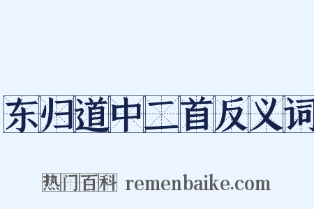 东归道中二首反义词是什么意思的图片
